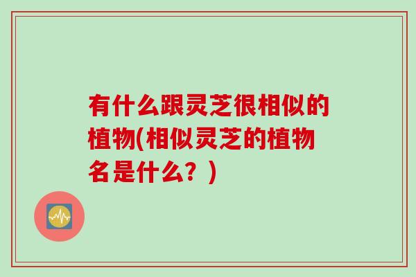 有什么跟灵芝很相似的植物(相似灵芝的植物名是什么？)