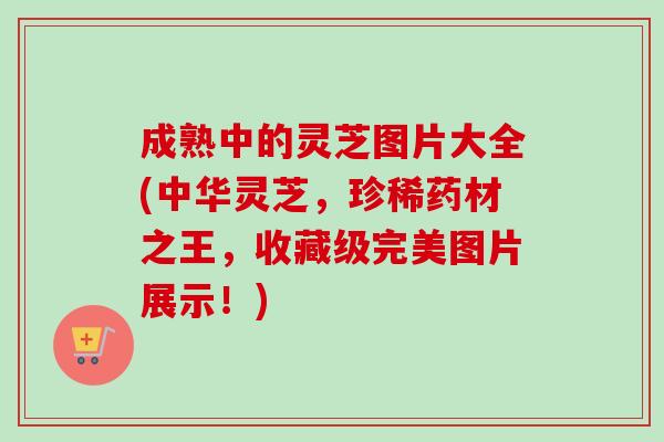 成熟中的灵芝图片大全(中华灵芝,珍稀药材之王,收藏级完美图片展示!) 成熟中的灵芝图片大全(中华灵芝,珍稀药材之王,收藏级完美图片展示!)