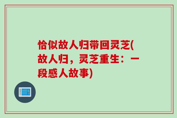 恰似故人归带回灵芝(故人归，灵芝重生：一段感人故事)