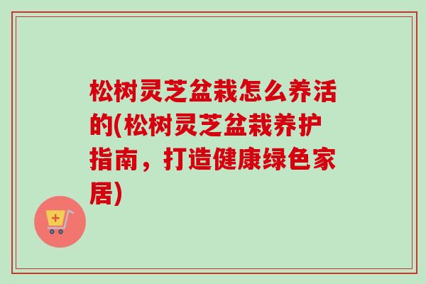 松树灵芝盆栽怎么养活的(松树灵芝盆栽养护指南,打造健康绿色家居) 松树灵芝盆栽怎么养活的(松树灵芝盆栽养护指南,打造健康绿色家居)