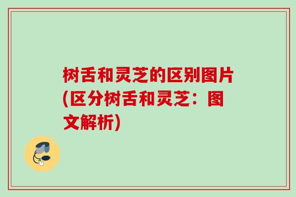 树舌和灵芝的区别图片(区分树舌和灵芝：图文解析)