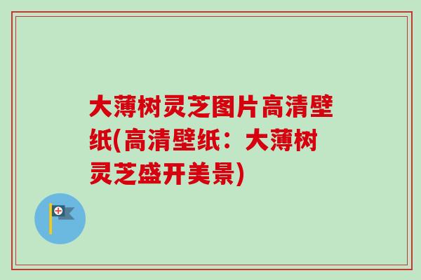大薄树灵芝图片高清壁纸(高清壁纸：大薄树灵芝盛开美景)