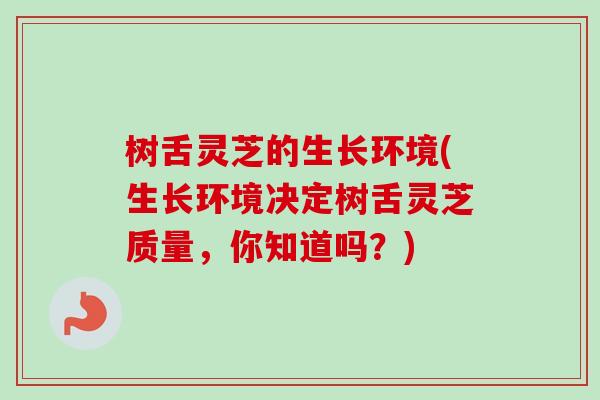 树舌灵芝的生长环境(生长环境决定树舌灵芝质量，你知道吗？)