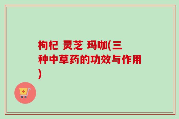 枸杞 灵芝 玛咖(三种中草药的功效与作用)