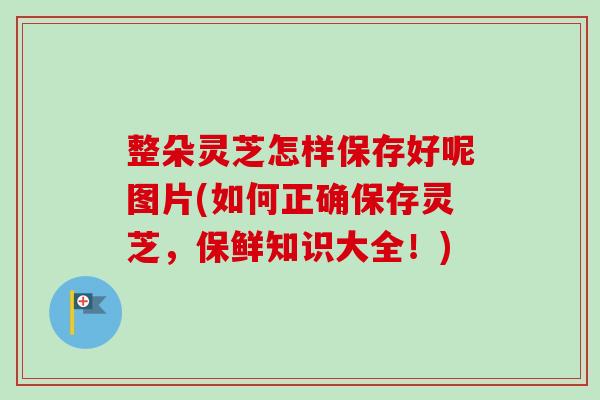 整朵灵芝怎样保存好呢图片(如何正确保存灵芝，保鲜知识大全！)