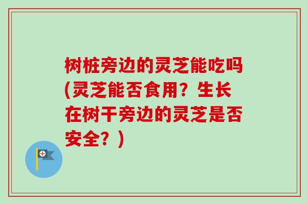 树桩旁边的灵芝能吃吗(灵芝能否食用？生长在树干旁边的灵芝是否安全？)