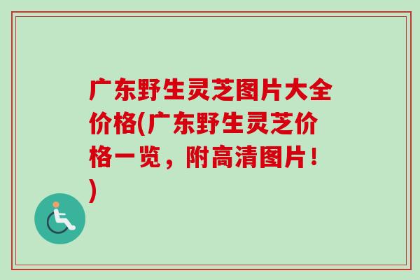 广东野生灵芝图片大全价格(广东野生灵芝价格一览，附高清图片！)