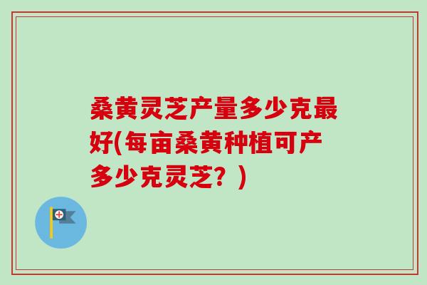 桑黄灵芝产量多少克最好(每亩桑黄种植可产多少克灵芝？)