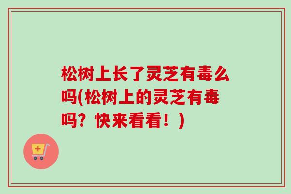 松树上长了灵芝有毒么吗(松树上的灵芝有毒吗？快来看看！)