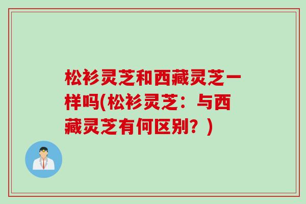松衫灵芝和西藏灵芝一样吗(松衫灵芝：与西藏灵芝有何区别？)