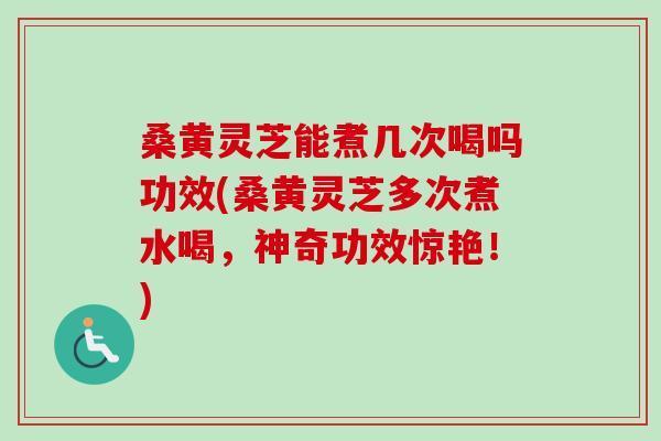 桑黄灵芝能煮几次喝吗功效(桑黄灵芝多次煮水喝，神奇功效惊艳！)