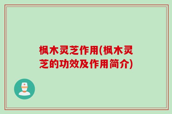 枫木灵芝作用(枫木灵芝的功效及作用简介)