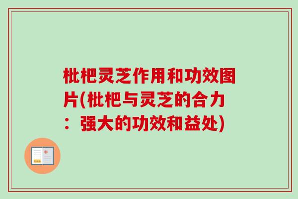 枇杷灵芝作用和功效图片(枇杷与灵芝的合力：强大的功效和益处)
