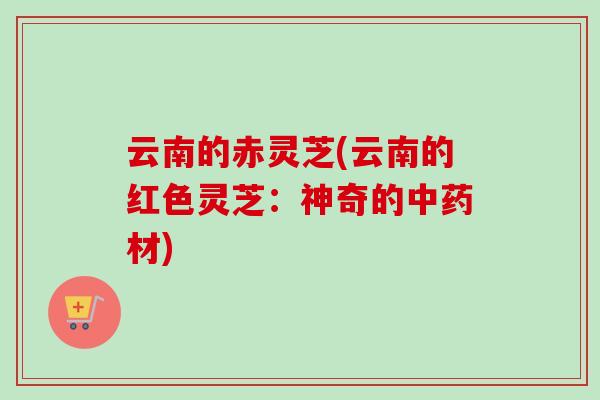云南的赤灵芝(云南的红色灵芝：神奇的中药材)