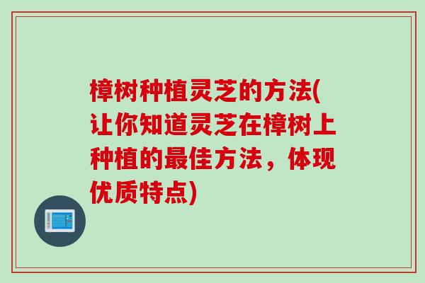 樟树种植灵芝的方法(让你知道灵芝在樟树上种植的佳方法,体现优质特点) 樟树种植灵芝的方法(让你知道灵芝在樟树上种植的佳方法,体现优质特点)