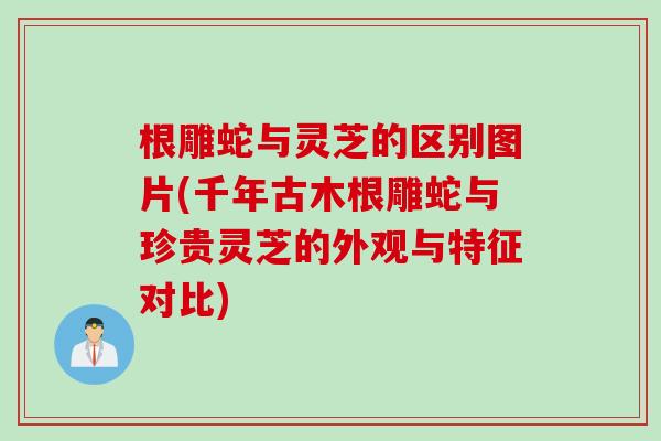 根雕蛇与灵芝的区别图片(千年古木根雕蛇与珍贵灵芝的外观与特征对比)