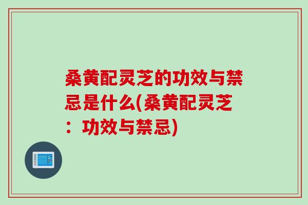 桑黄配灵芝的功效与禁忌是什么(桑黄配灵芝：功效与禁忌)