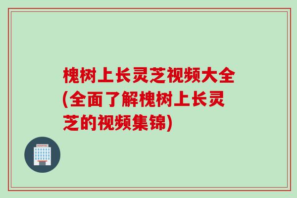 槐树上长灵芝视频大全(全面了解槐树上长灵芝的视频集锦)