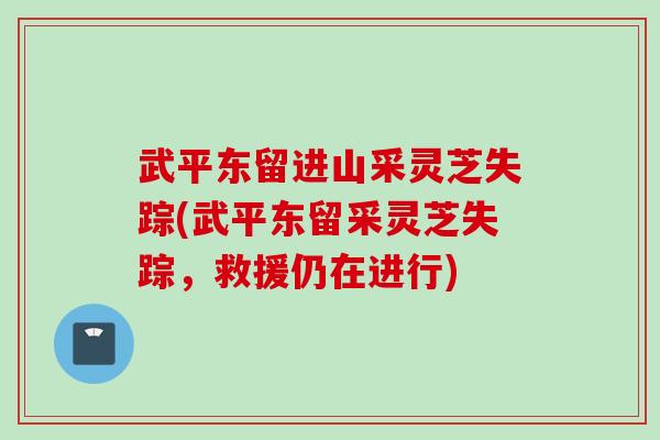 武平东留进山采灵芝失踪(武平东留采灵芝失踪，救援仍在进行)