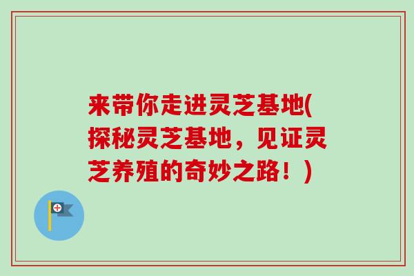 来带你走进灵芝基地(探秘灵芝基地，见证灵芝养殖的奇妙之路！)