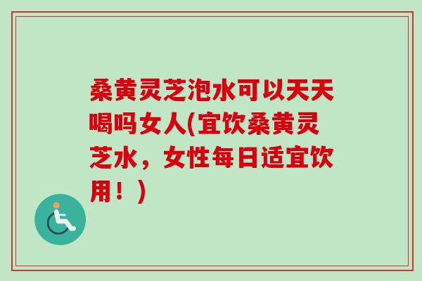 桑黄灵芝泡水可以天天喝吗女人(宜饮桑黄灵芝水，女性每日适宜饮用！)