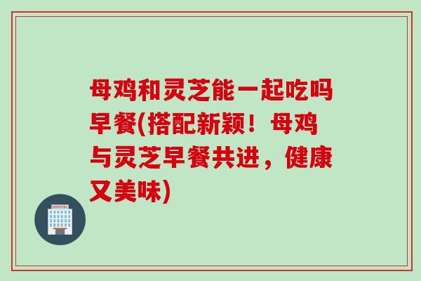 母鸡和灵芝能一起吃吗早餐(搭配新颖！母鸡与灵芝早餐共进，健康又美味)