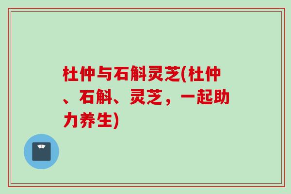 杜仲与石斛灵芝(杜仲、石斛、灵芝，一起助力养生)