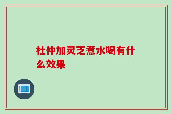 杜仲加灵芝煮水喝有什么效果