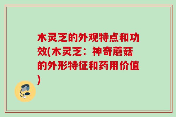 木灵芝的外观特点和功效(木灵芝：神奇蘑菇的外形特征和药用价值)