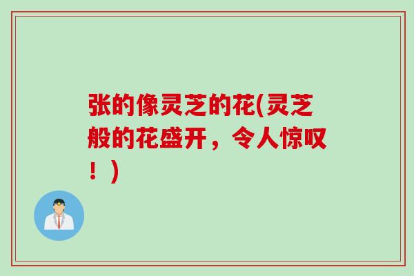 张的像灵芝的花(灵芝般的花盛开，令人惊叹！)