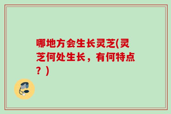 哪地方会生长灵芝(灵芝何处生长，有何特点？)