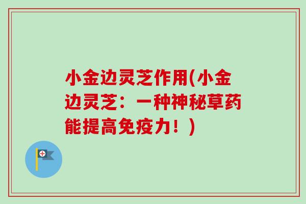小金边灵芝作用(小金边灵芝：一种神秘草药能提高免疫力！)