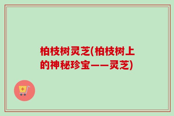 柏枝树灵芝(柏枝树上的神秘珍宝——灵芝)