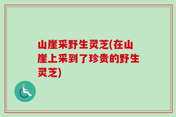 山崖采野生灵芝(在山崖上采到了珍贵的野生灵芝)