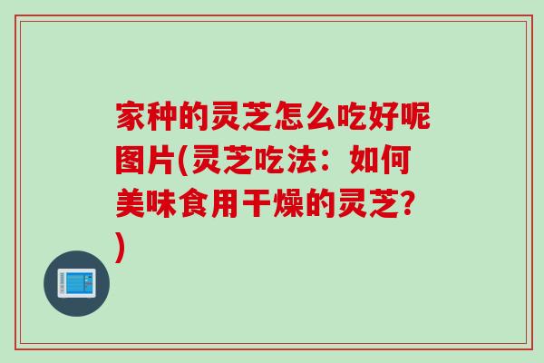家种的灵芝怎么吃好呢图片(灵芝吃法：如何美味食用干燥的灵芝？)