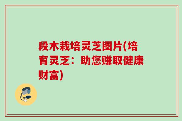 段木栽培灵芝图片(培育灵芝：助您赚取健康财富)