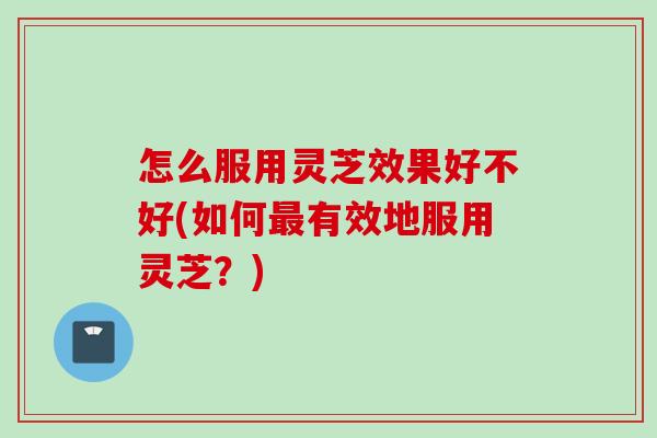 怎么服用灵芝效果好不好(如何最有效地服用灵芝？)