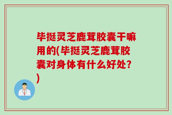 毕挺灵芝鹿茸胶囊干嘛用的(毕挺灵芝鹿茸胶囊对身体有什么好处？)