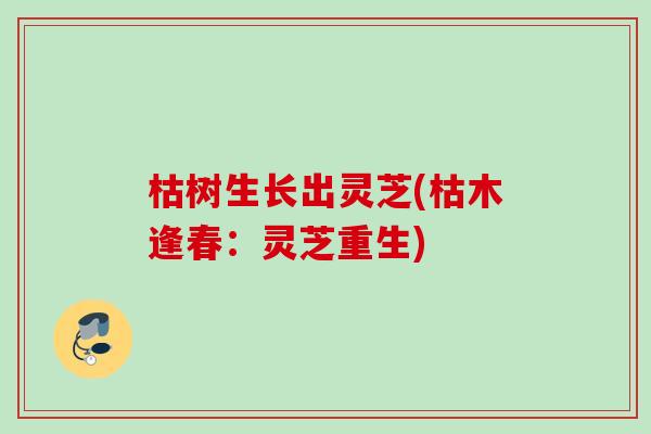 枯树生长出灵芝(枯木逢春:灵芝重生) 枯树生长出灵芝(枯木逢春:灵芝重生)