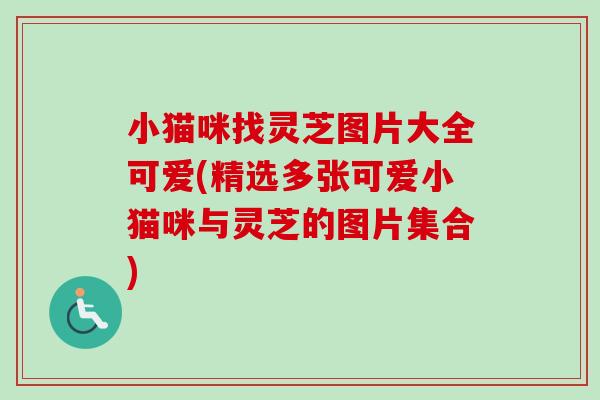 小猫咪找灵芝图片大全可爱(精选多张可爱小猫咪与灵芝的图片集合)
