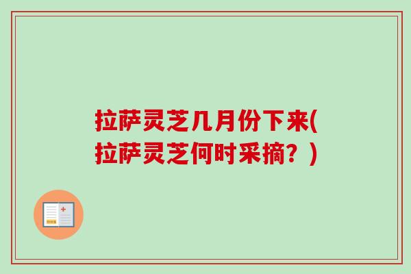 拉萨灵芝几月份下来(拉萨灵芝何时采摘?) 拉萨灵芝几月份下来(拉萨灵芝何时采摘?)