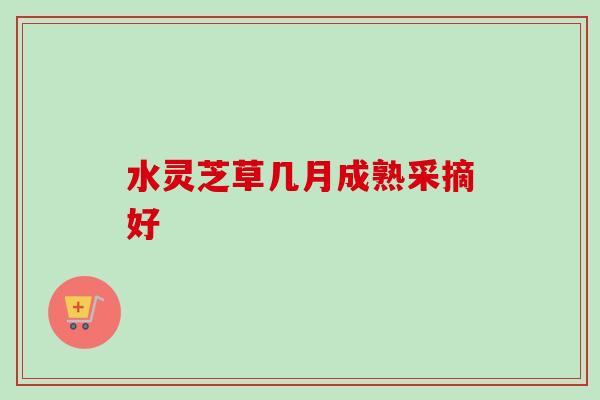 水灵芝草几月成熟采摘好