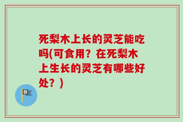 死梨木上长的灵芝能吃吗(可食用？在死梨木上生长的灵芝有哪些好处？)