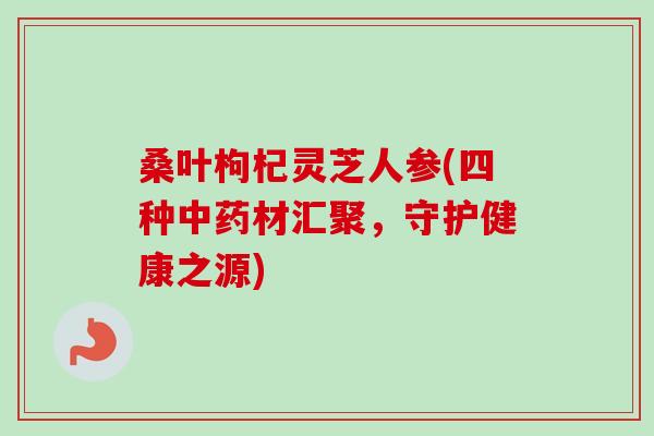 桑叶枸杞灵芝人参(四种材汇聚，守护健康之源)