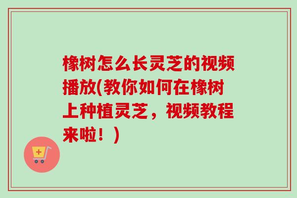 橡树怎么长灵芝的视频播放(教你如何在橡树上种植灵芝,视频教程来啦!) 橡树怎么长灵芝的视频播放(教你如何在橡树上种植灵芝,视频教程来啦!)
