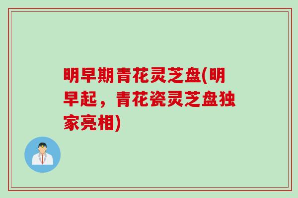明早期青花灵芝盘(明早起，青花瓷灵芝盘独家亮相)