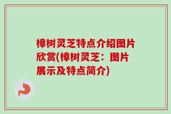 樟树灵芝特点介绍图片欣赏(樟树灵芝：图片展示及特点简介)