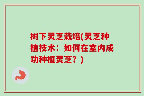 树下灵芝栽培(灵芝种植技术:如何在室内成功种植灵芝?) 树下灵芝栽培(灵芝种植技术:如何在室内成功种植灵芝?)