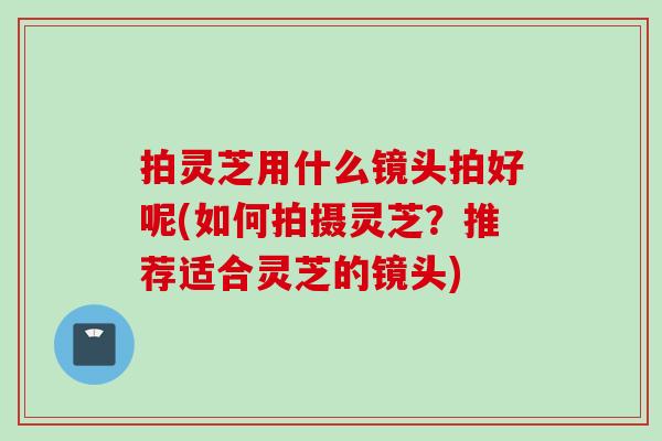 拍灵芝用什么镜头拍好呢(如何拍摄灵芝？推荐适合灵芝的镜头)