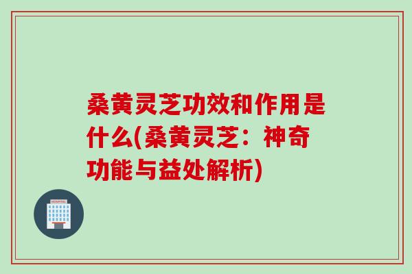 桑黄灵芝功效和作用是什么(桑黄灵芝：神奇功能与益处解析)